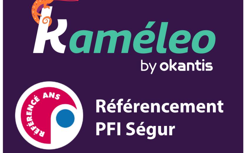 Logo kameleo PFI Ségur